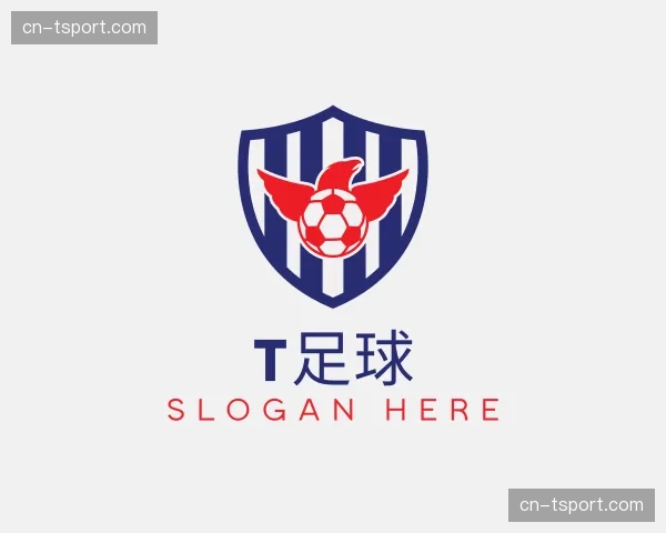 发现t足球